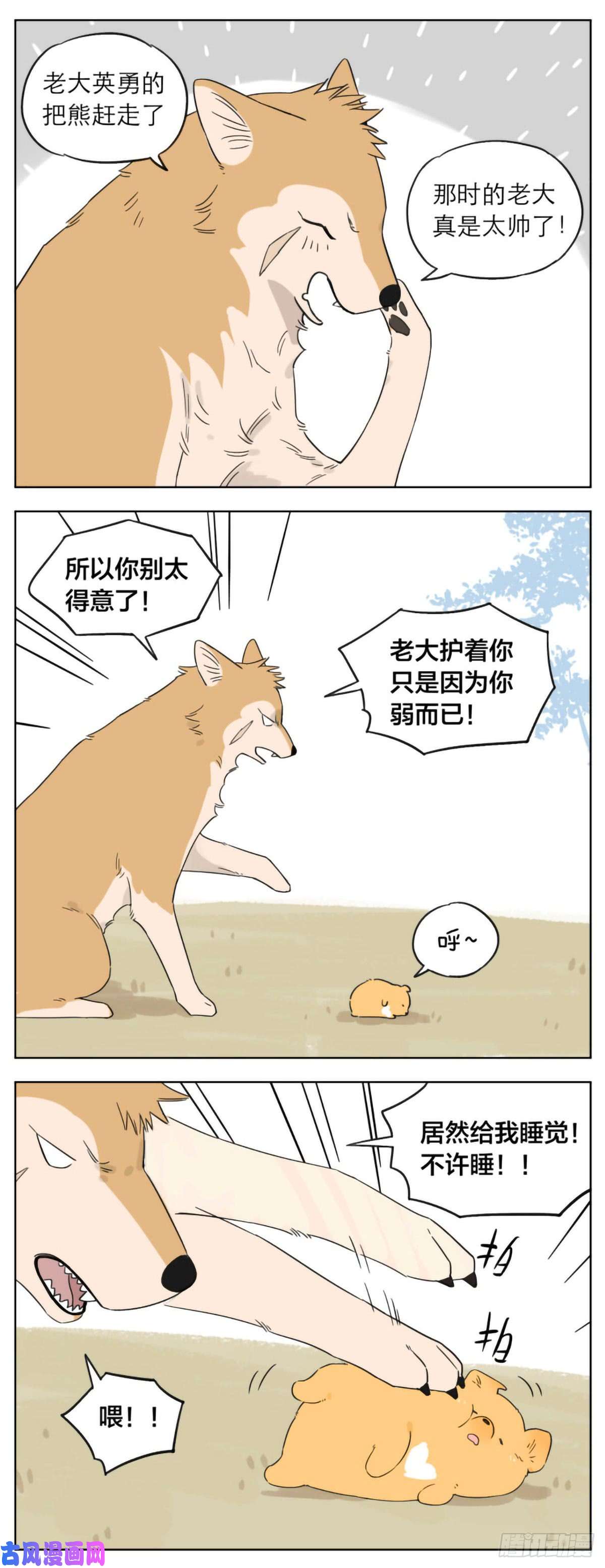 捡了东西的狼狼王的小弟