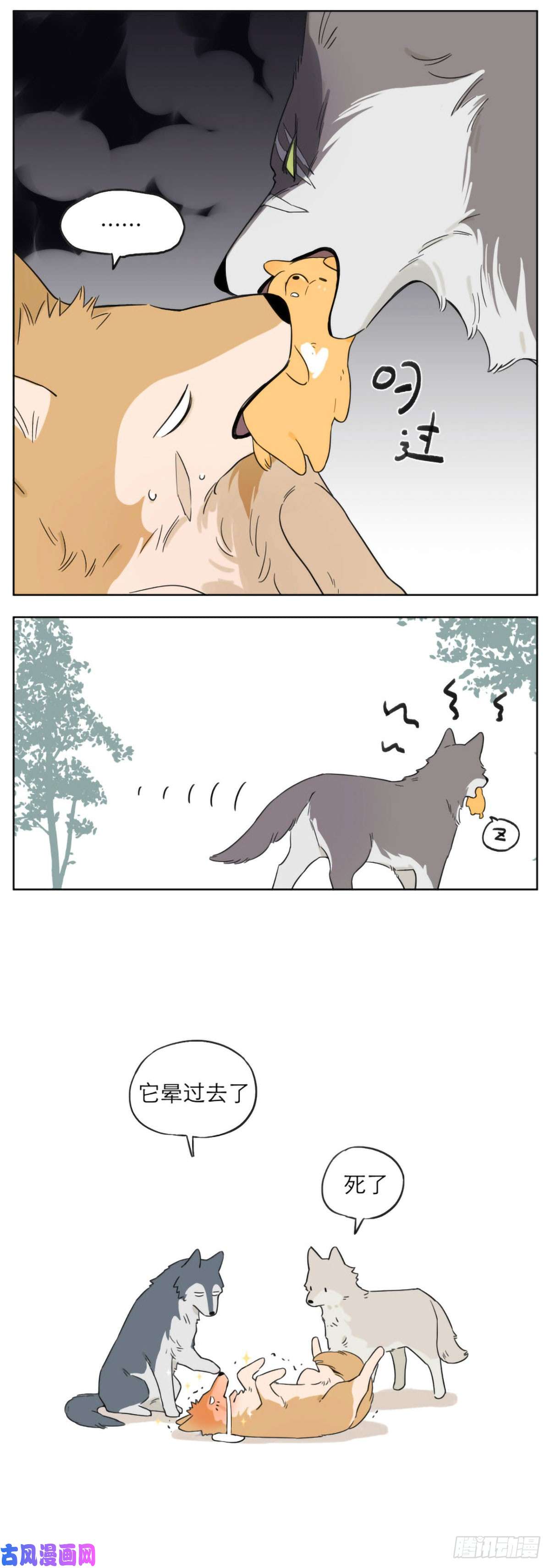 捡了东西的狼狼王的小弟