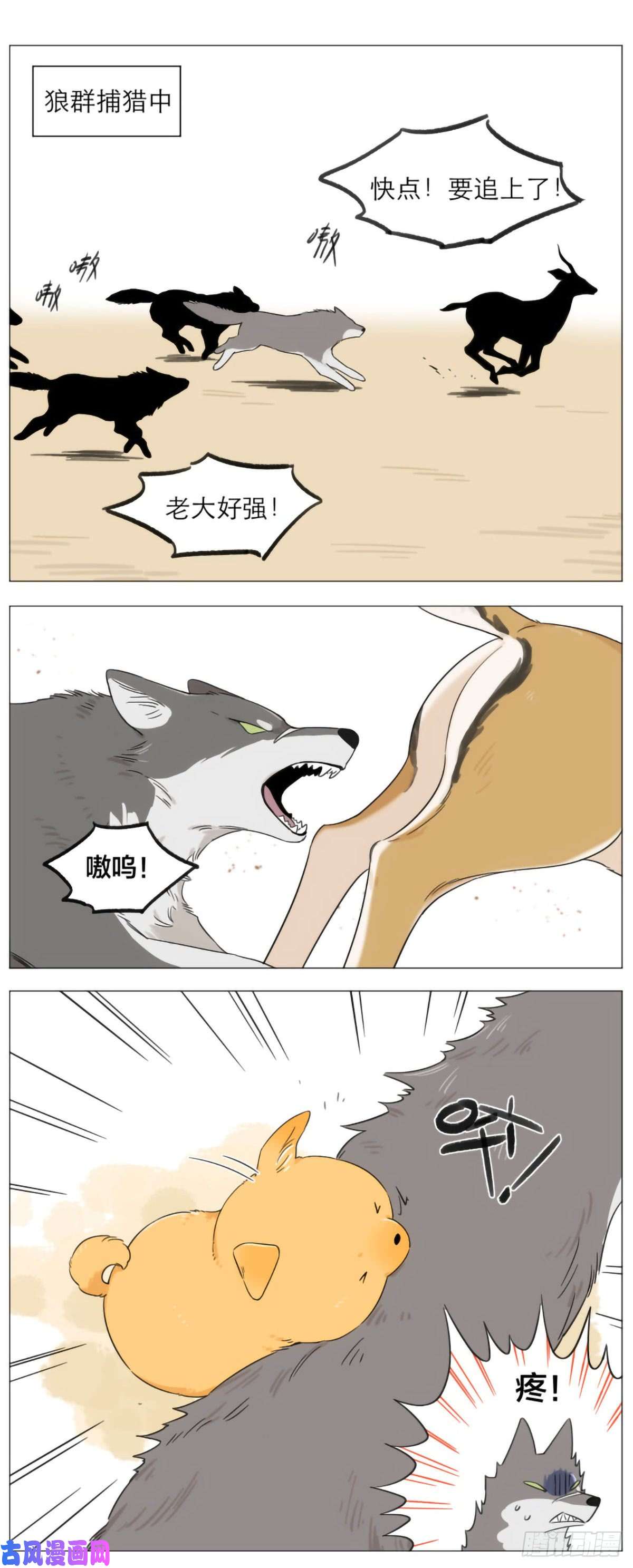 捡了东西的狼狼王的尾巴