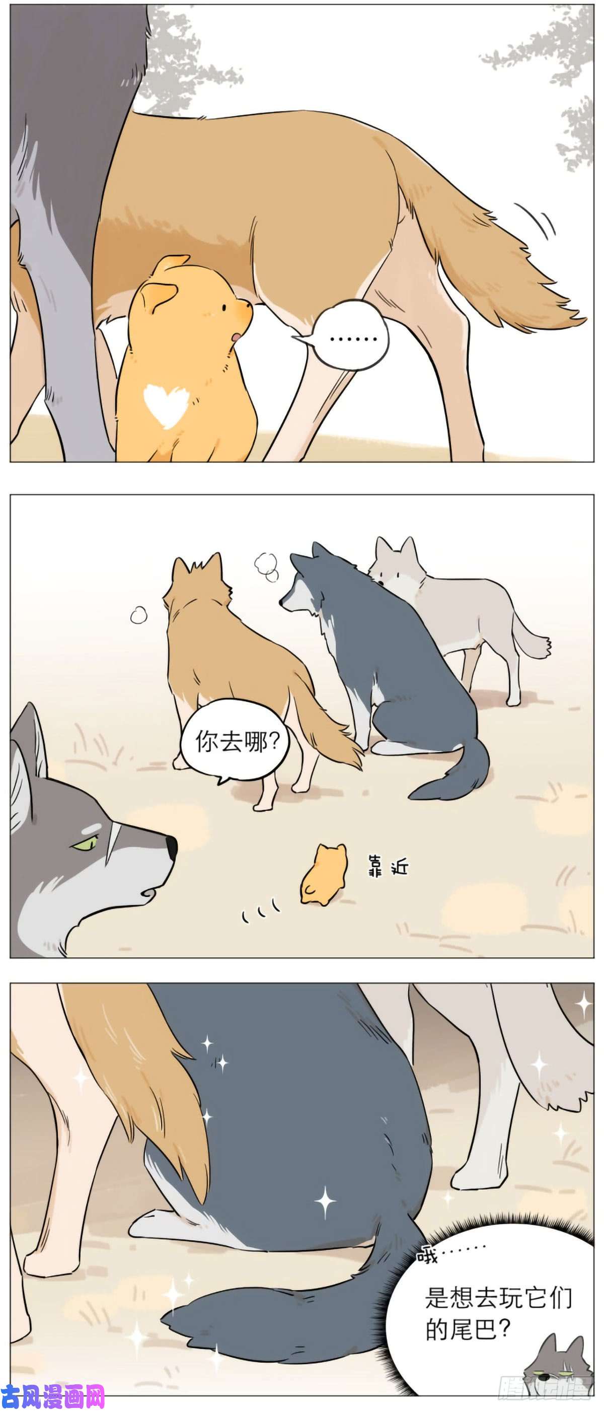 捡了东西的狼狼王的尾巴