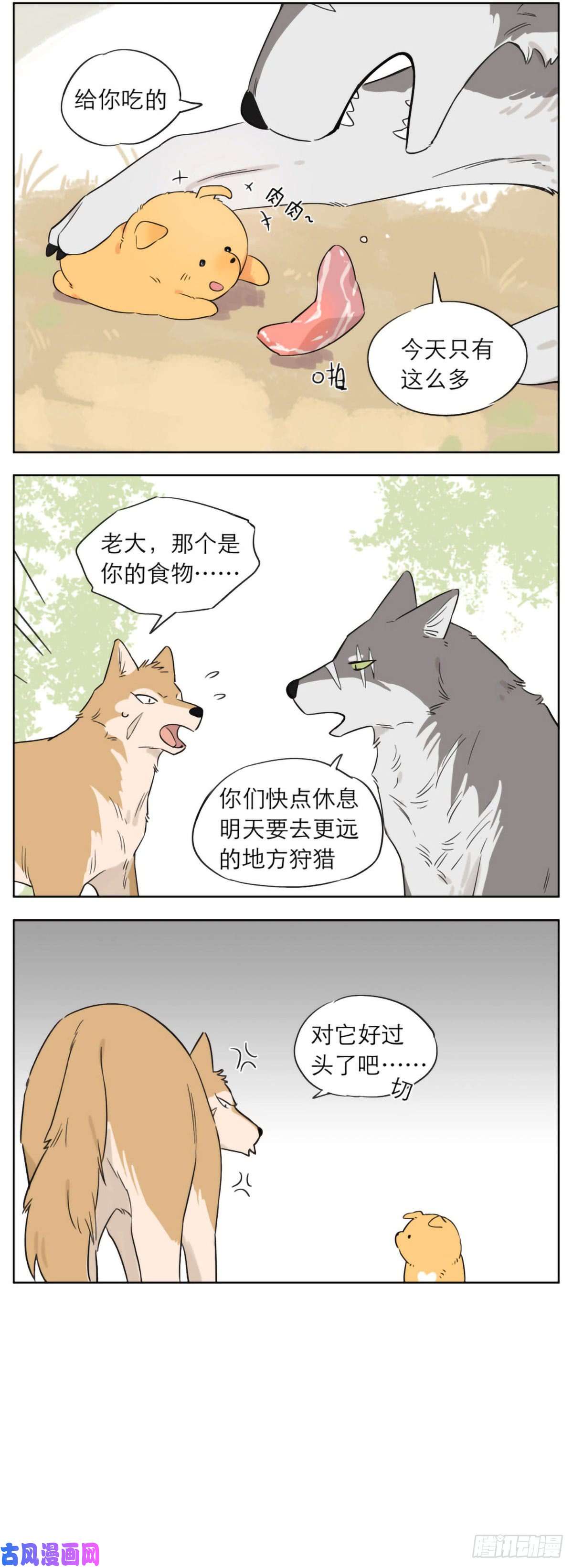 捡了东西的狼狼王的责任