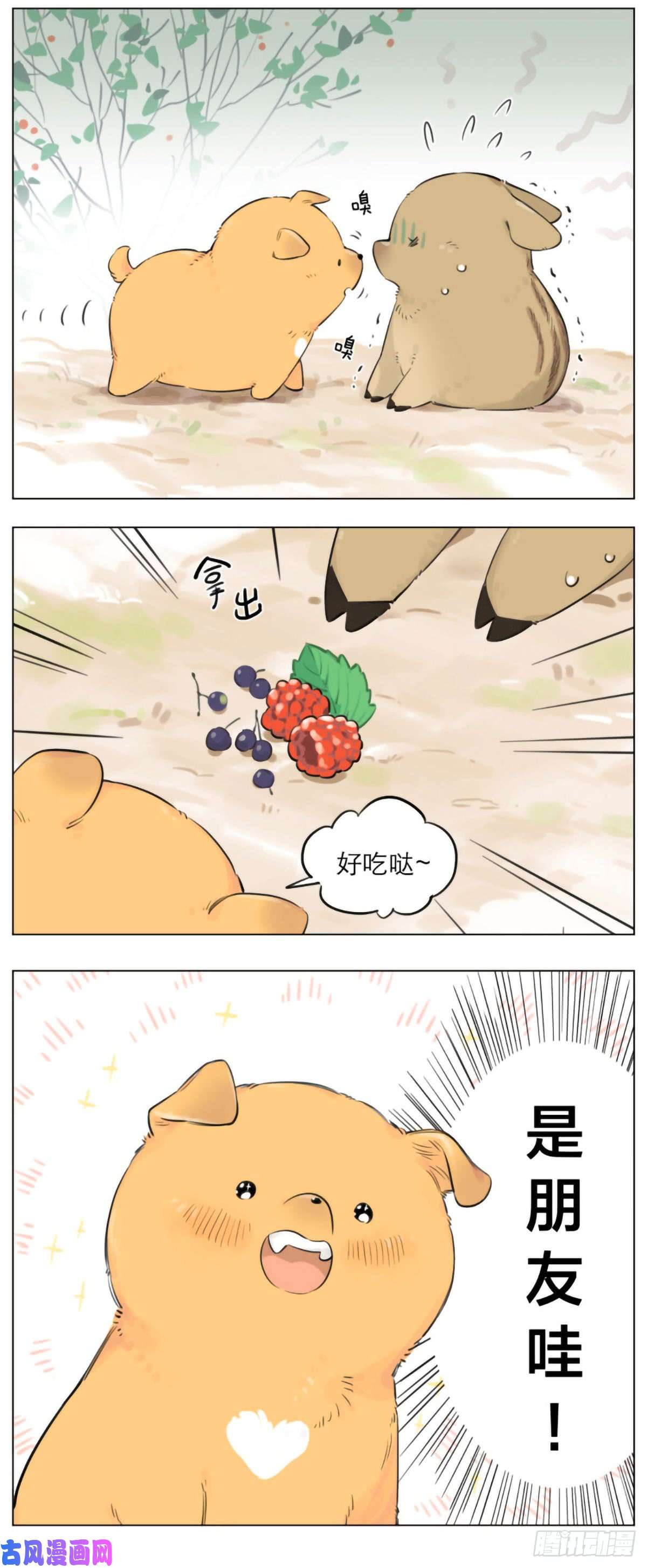 捡了东西的狼狼王不在的一天