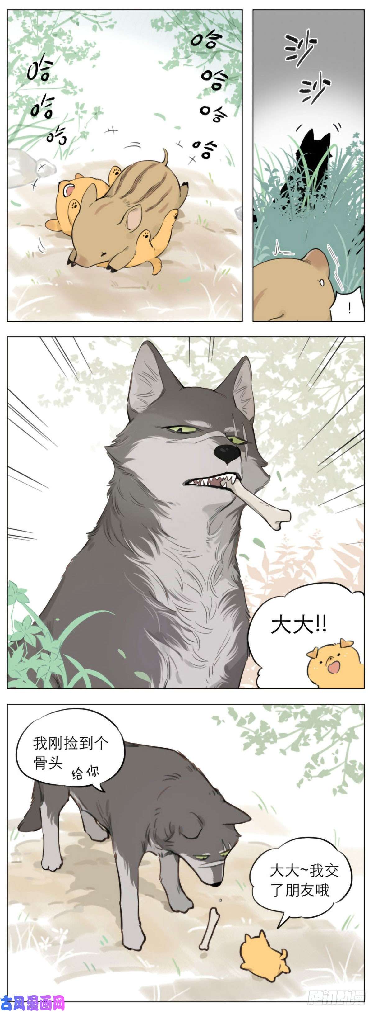 捡了东西的狼狼王不在的一天