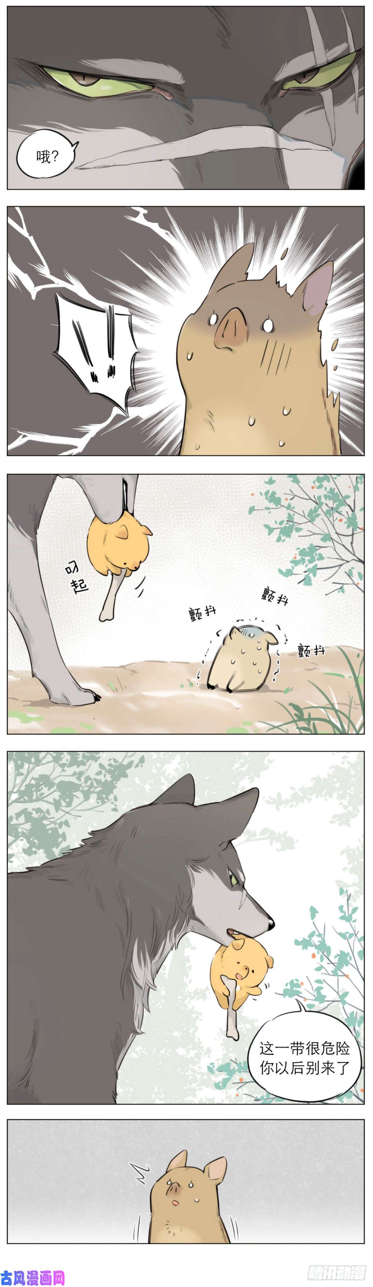 捡了东西的狼狼王不在的一天