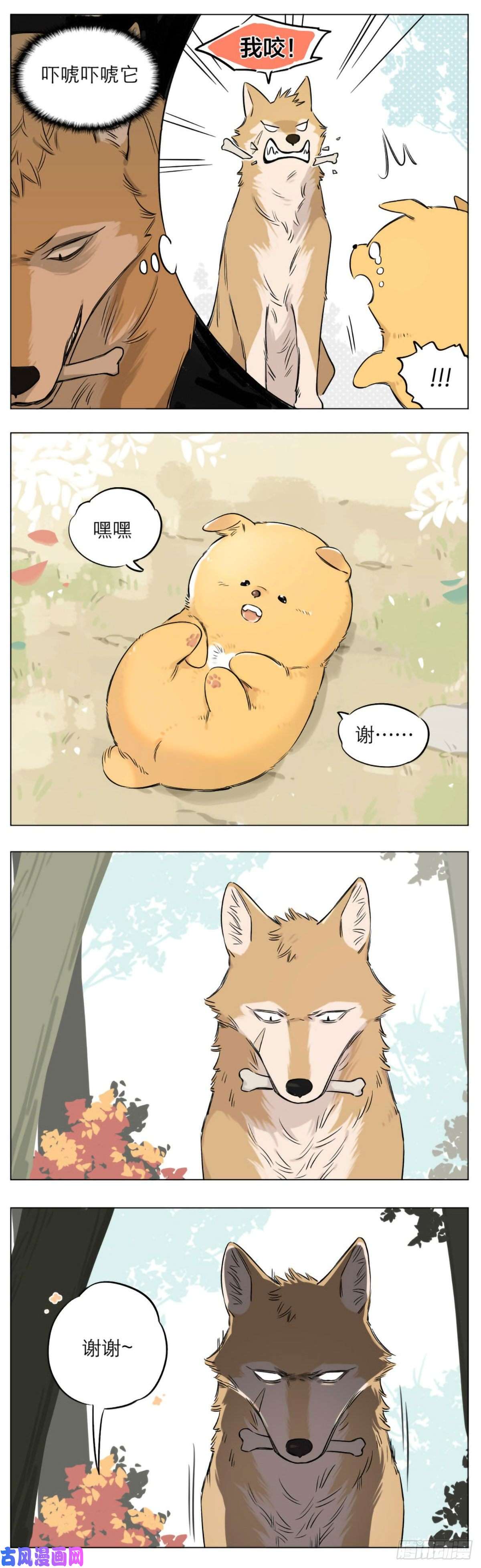捡了东西的狼狼王给的骨头