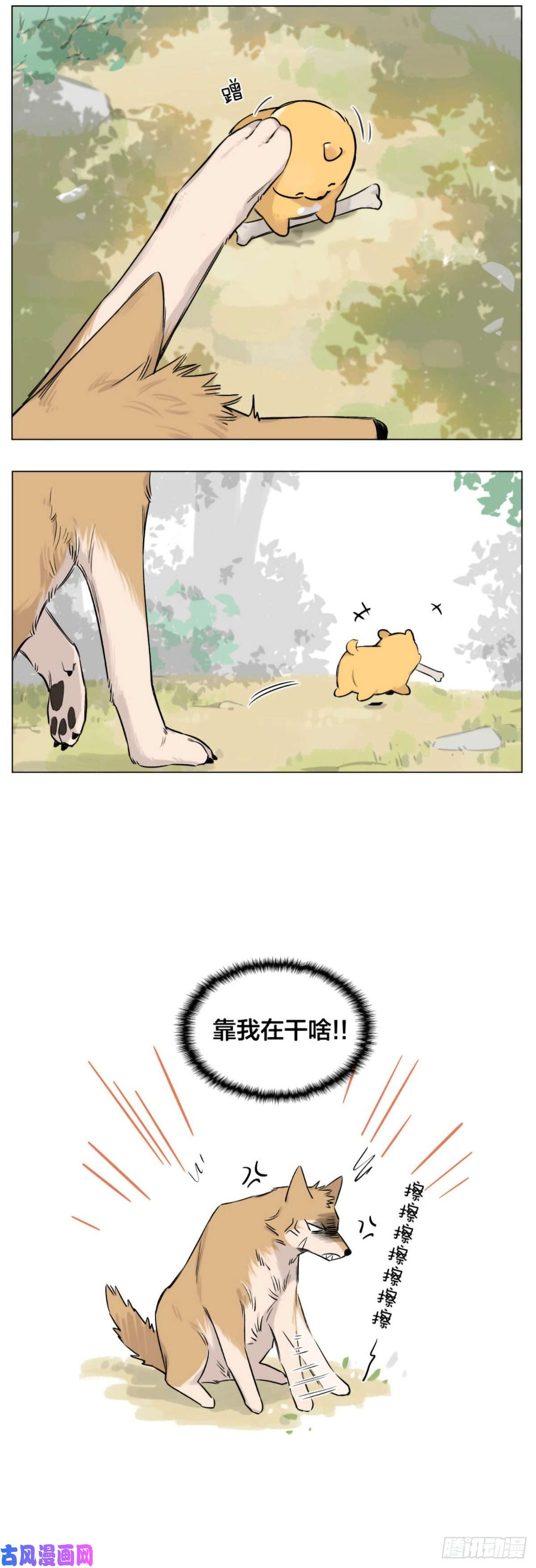 捡了东西的狼狼王给的骨头
