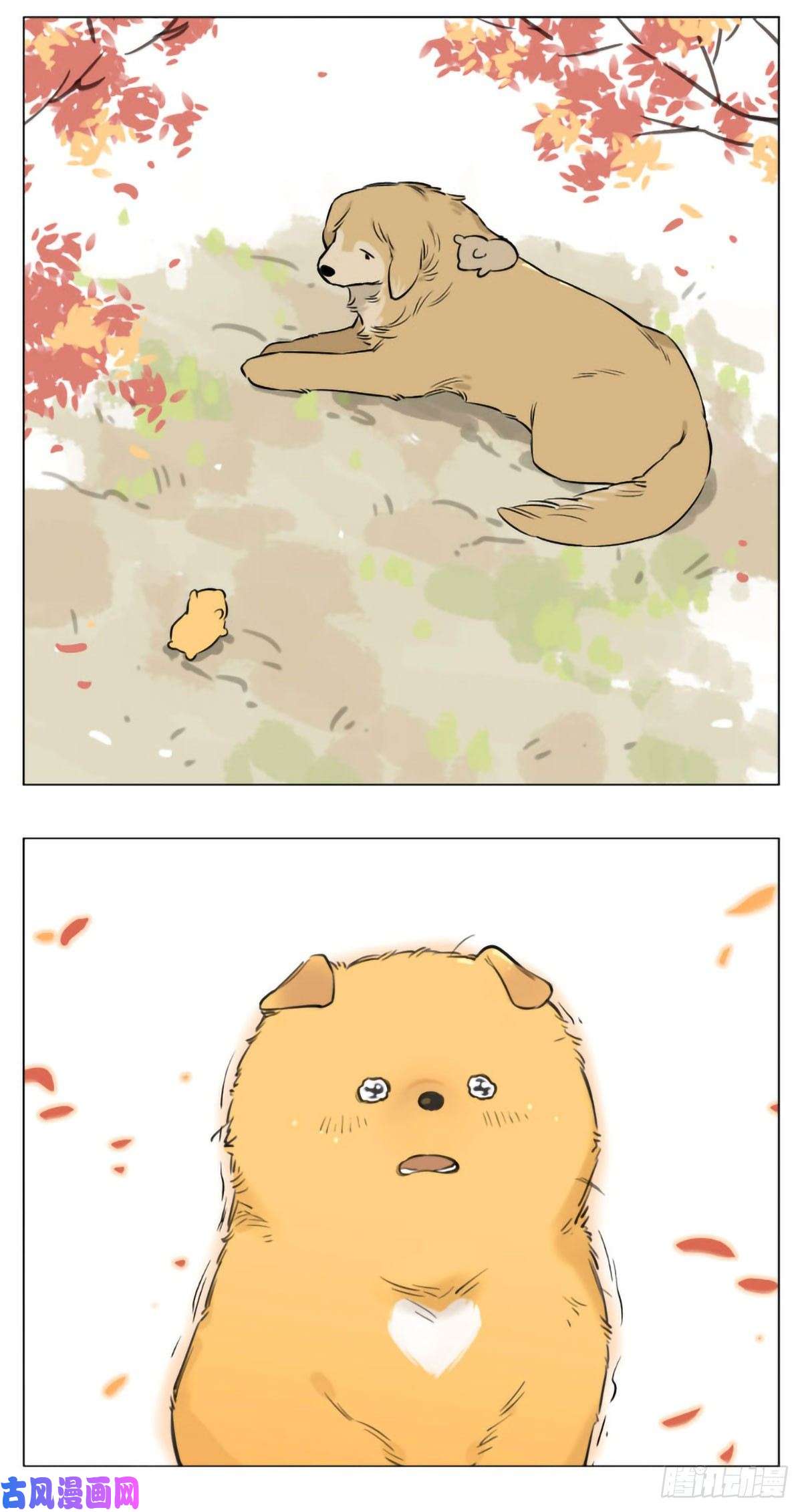 捡了东西的狼过去的事