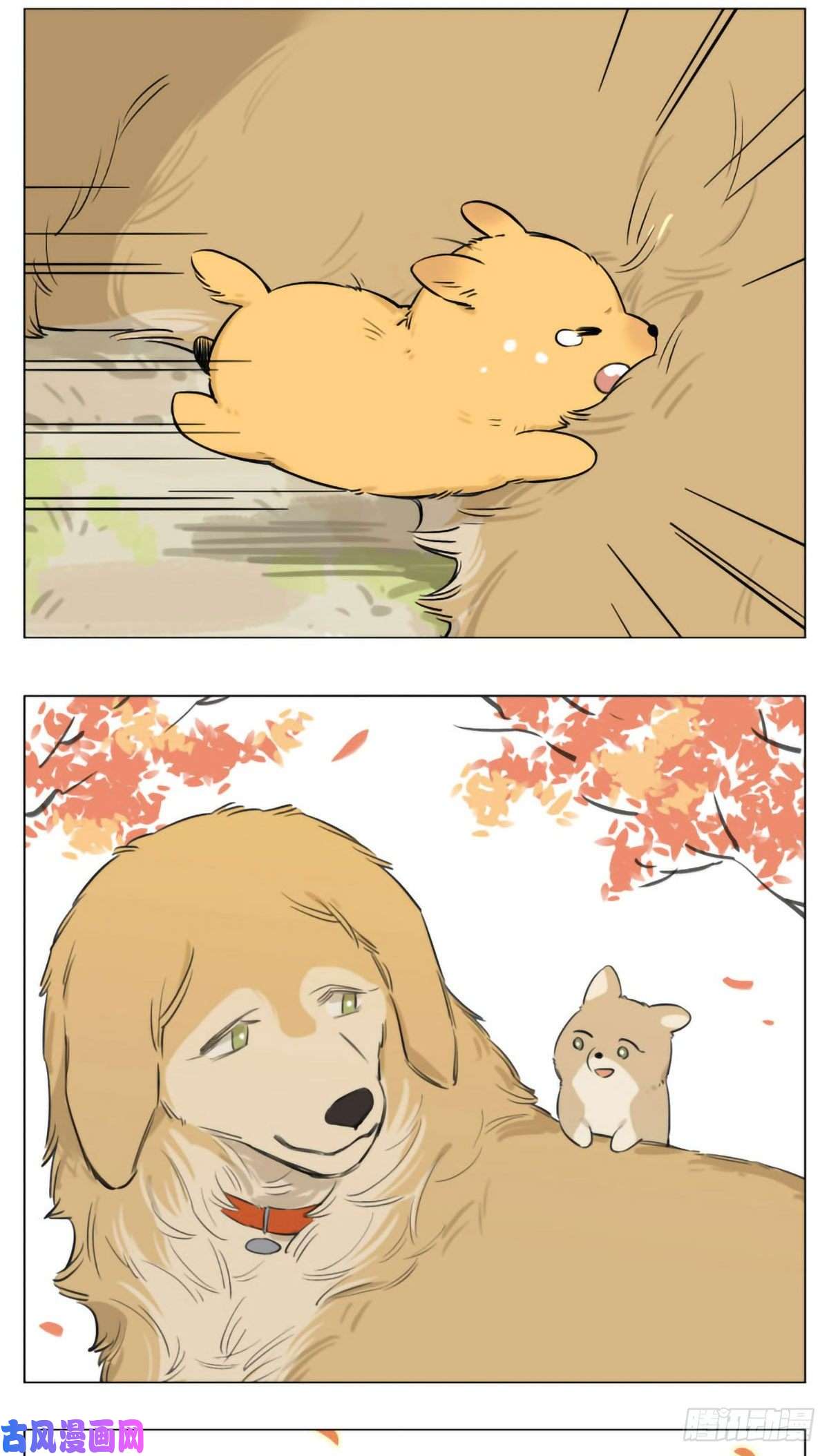 捡了东西的狼过去的事
