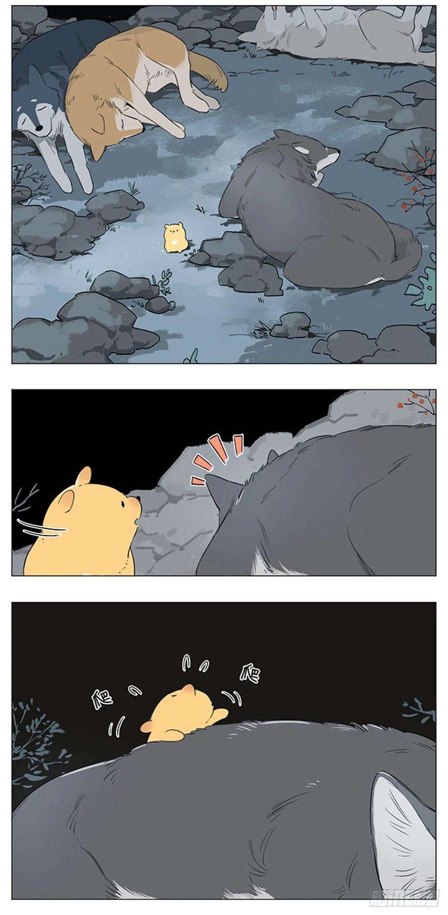 捡了东西的狼一个夜里