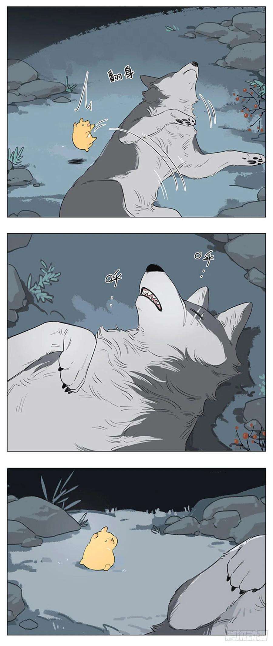捡了东西的狼一个夜里