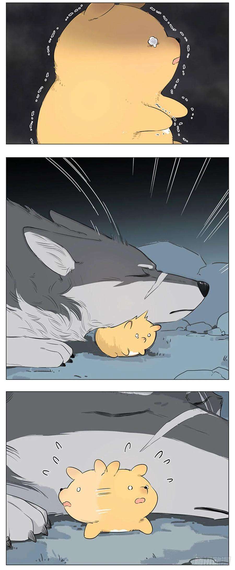 捡了东西的狼一个夜里