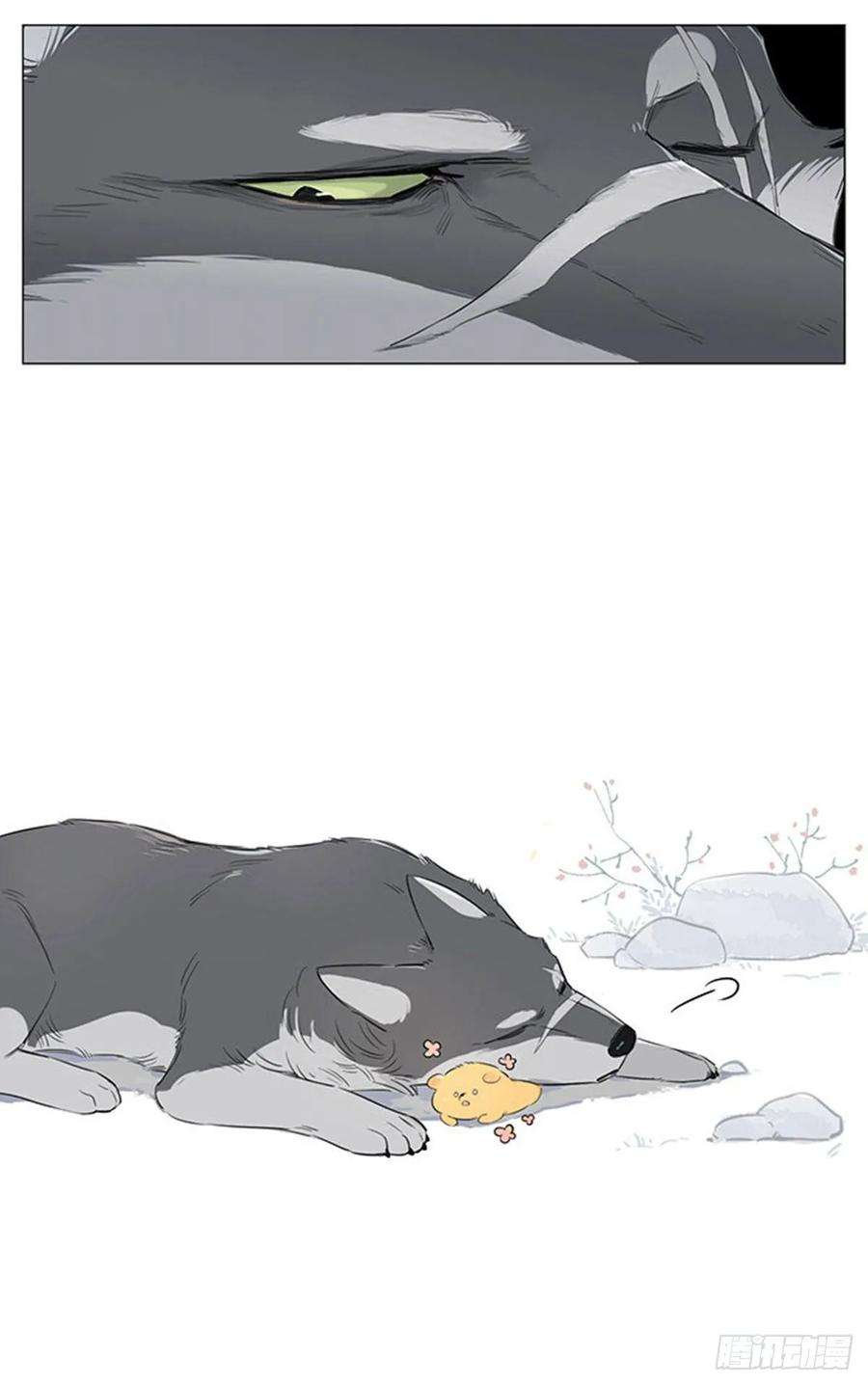 捡了东西的狼一个夜里