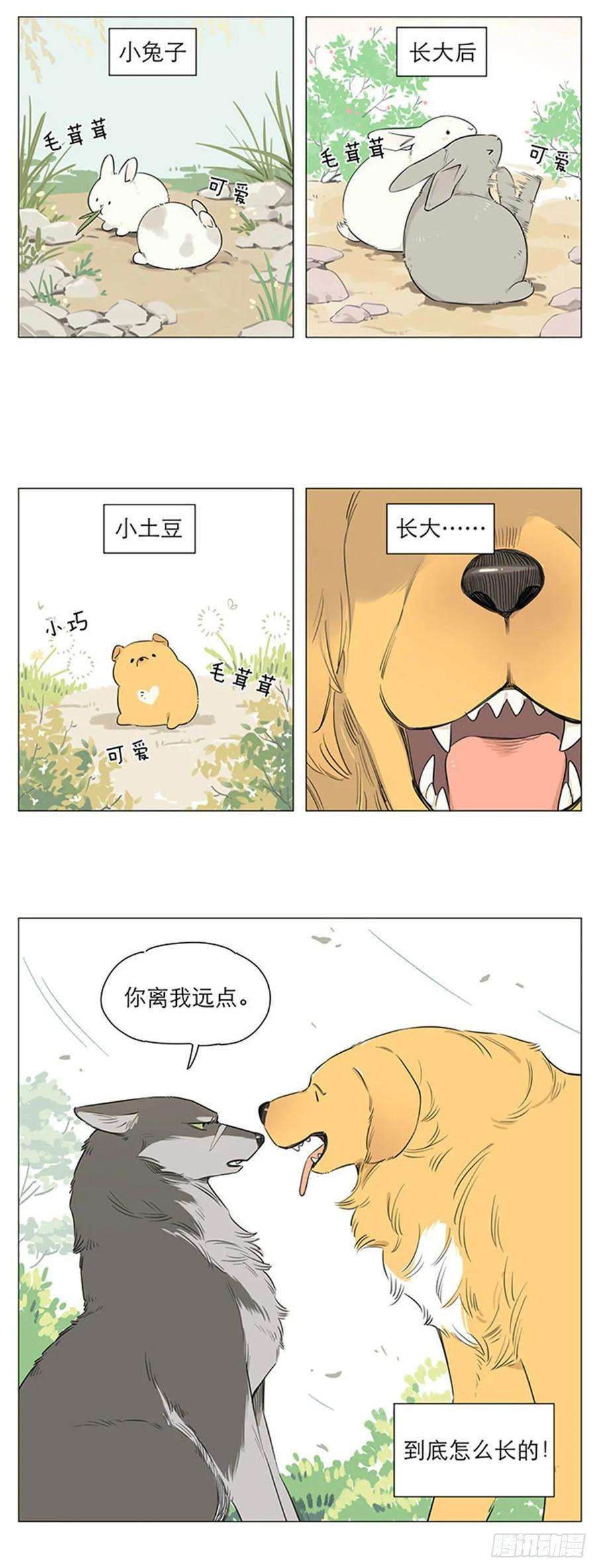 捡了东西的狼狼王的新称呼