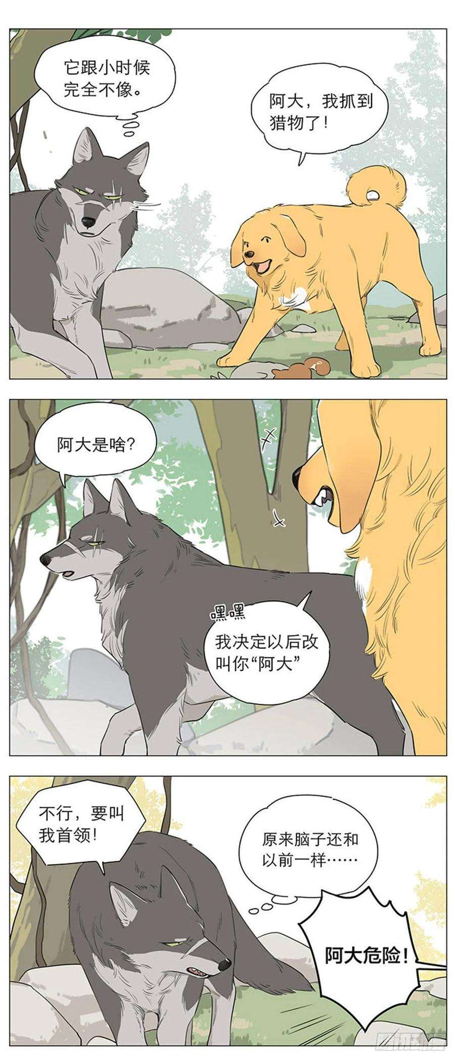 捡了东西的狼狼王的新称呼