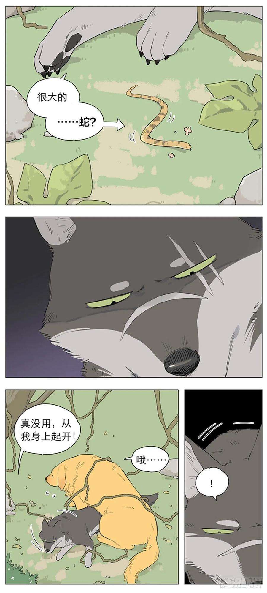 捡了东西的狼狼王的新称呼