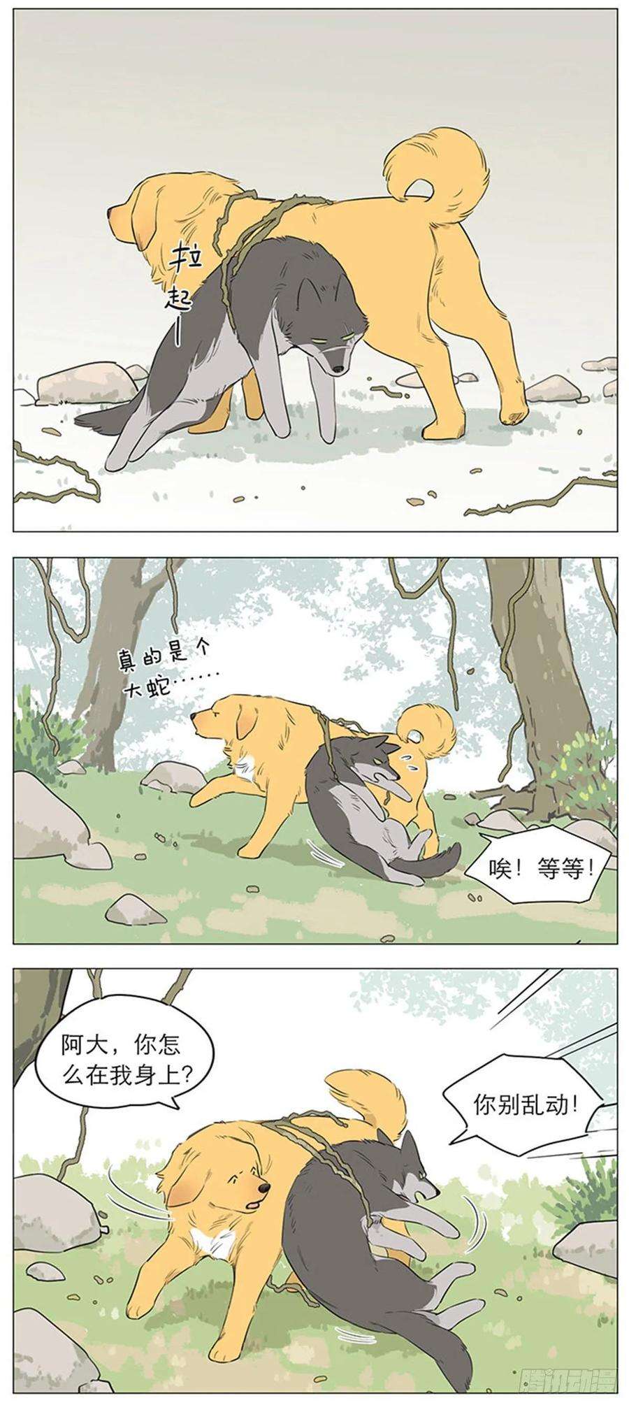 捡了东西的狼狼王的新称呼