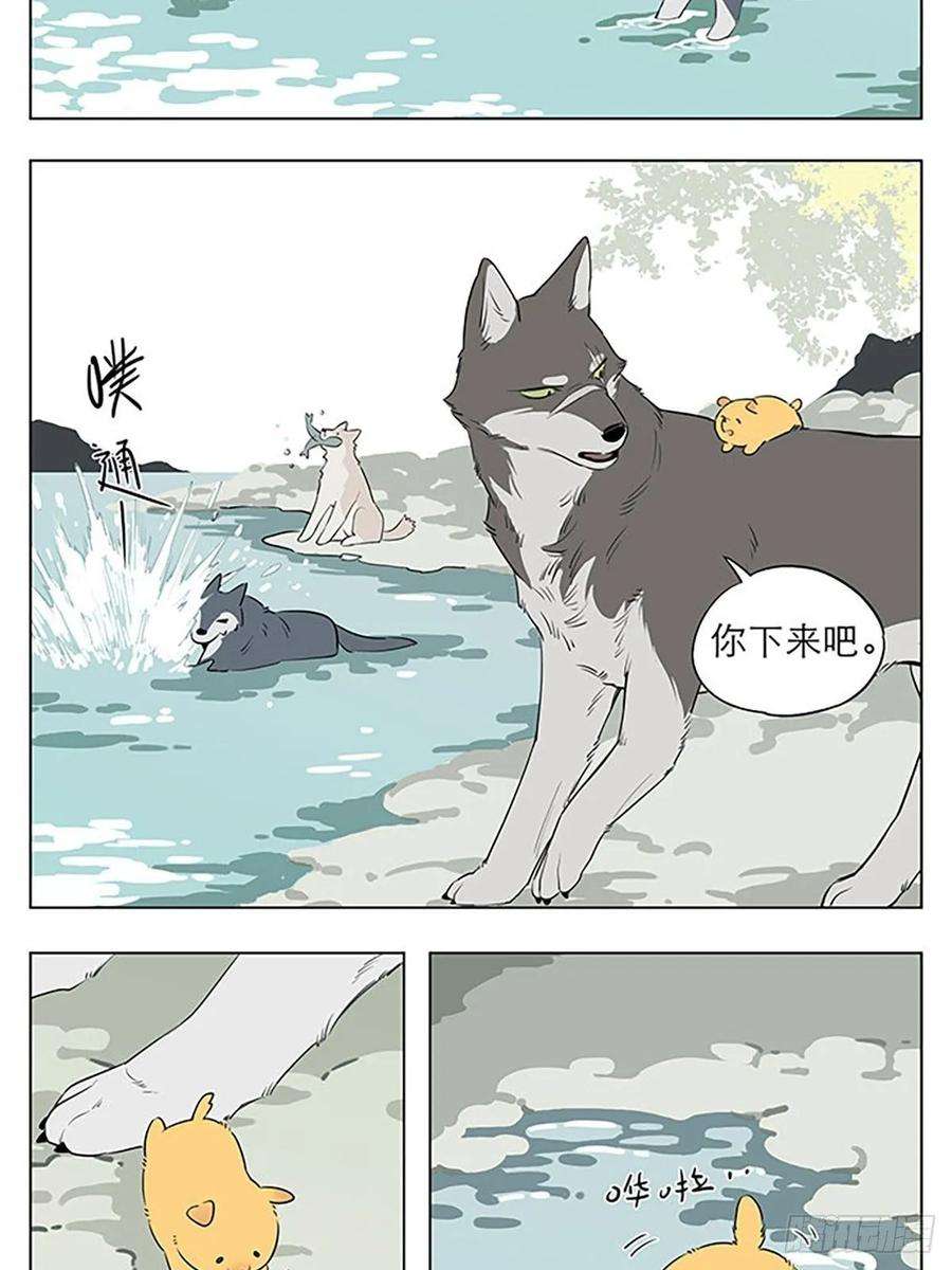 捡了东西的狼玩水