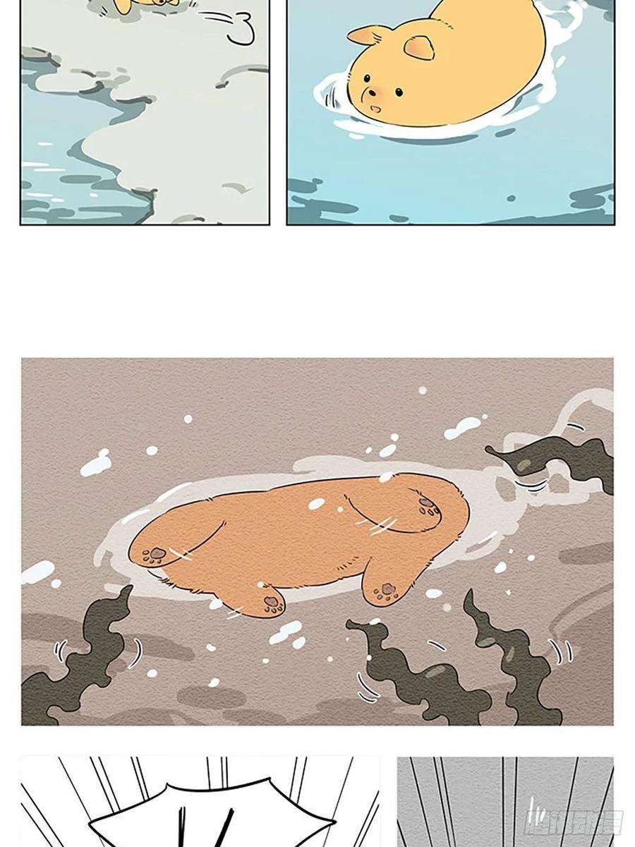 捡了东西的狼玩水