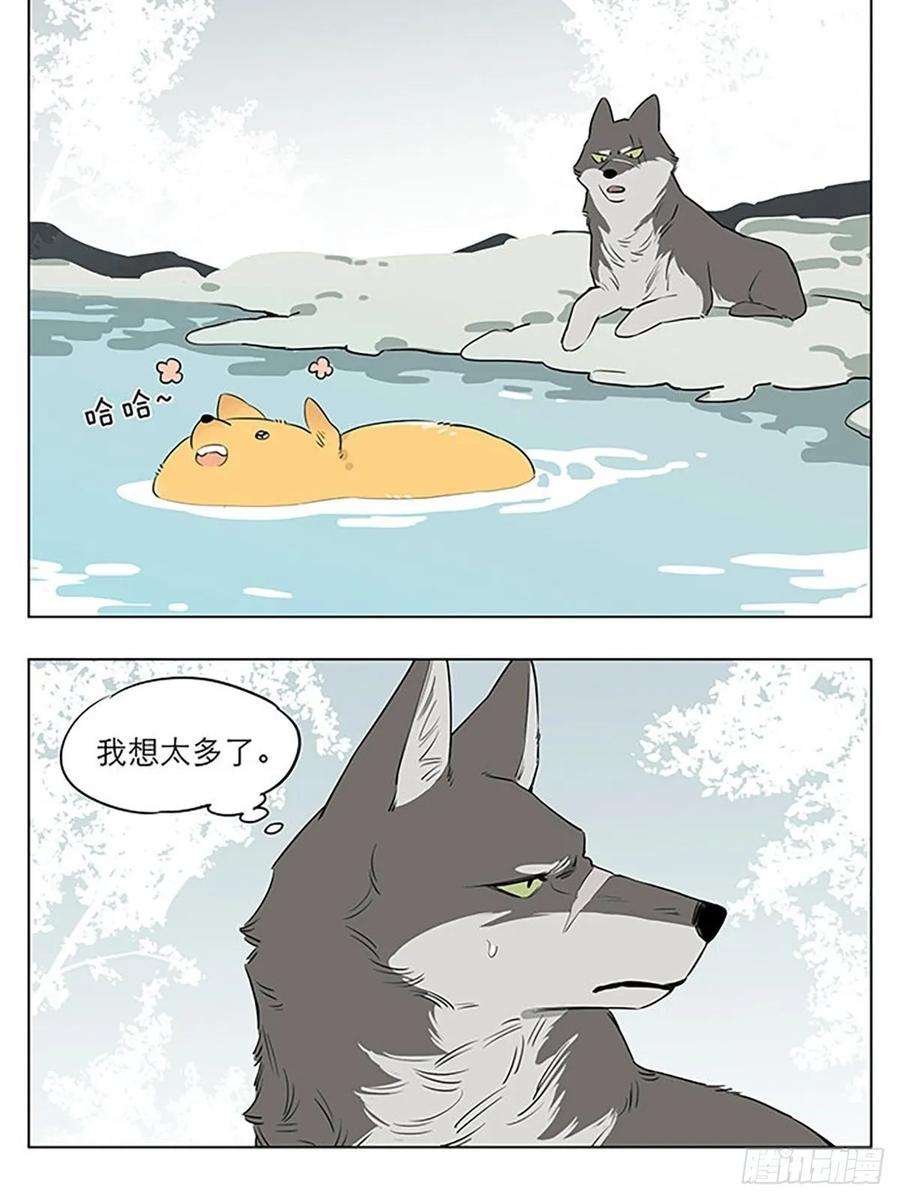 捡了东西的狼玩水