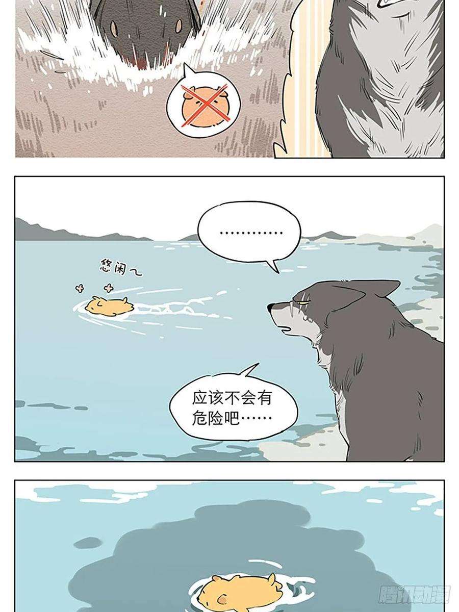 捡了东西的狼玩水