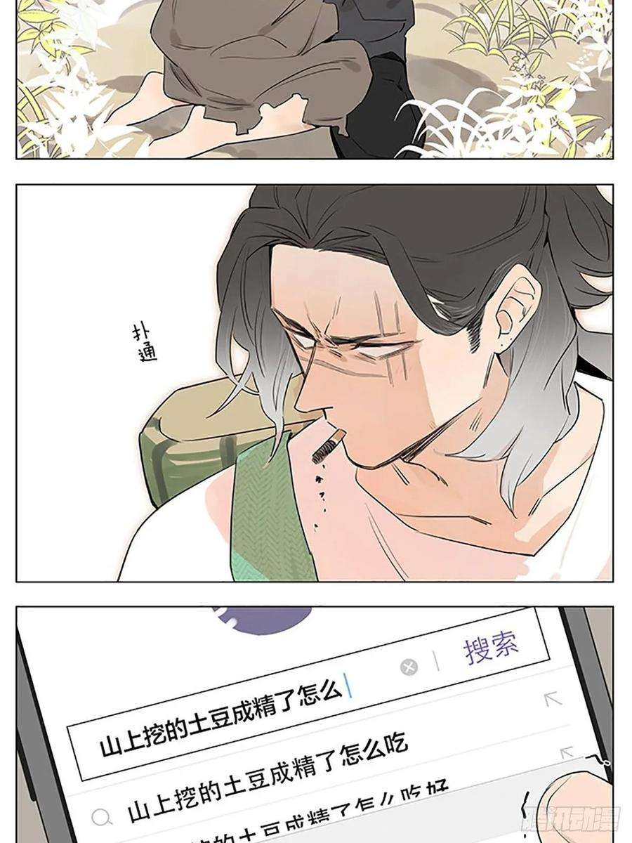 捡了东西的狼“狼王”隐居中。