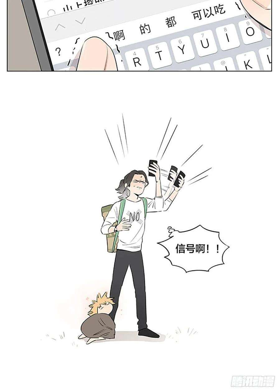 捡了东西的狼“狼王”隐居中。