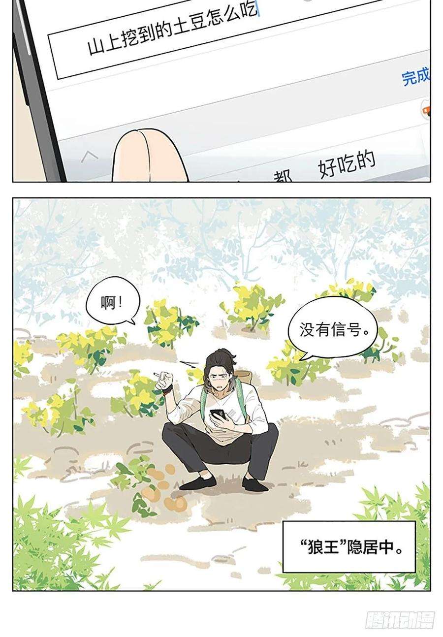捡了东西的狼“狼王”隐居中。