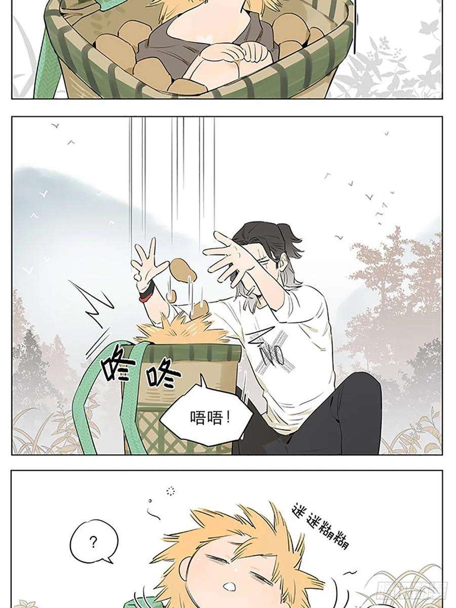 捡了东西的狼“狼王”隐居中。