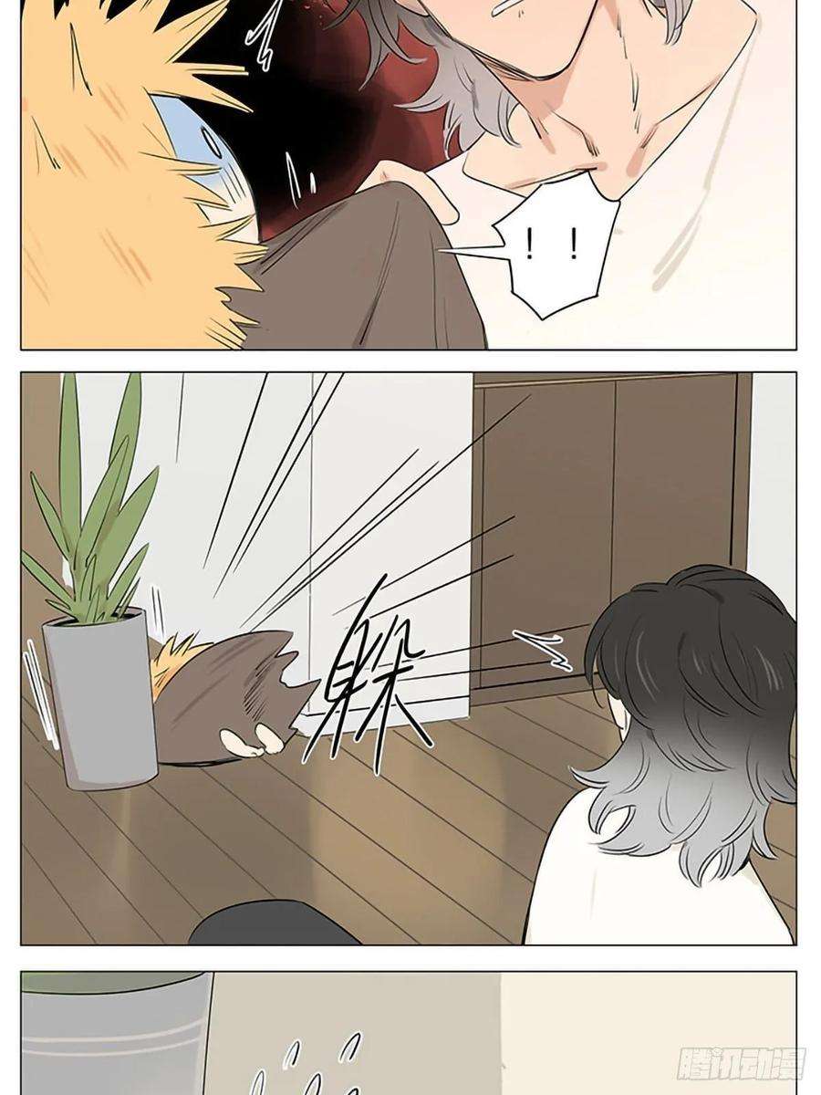 捡了东西的狼他醒了！