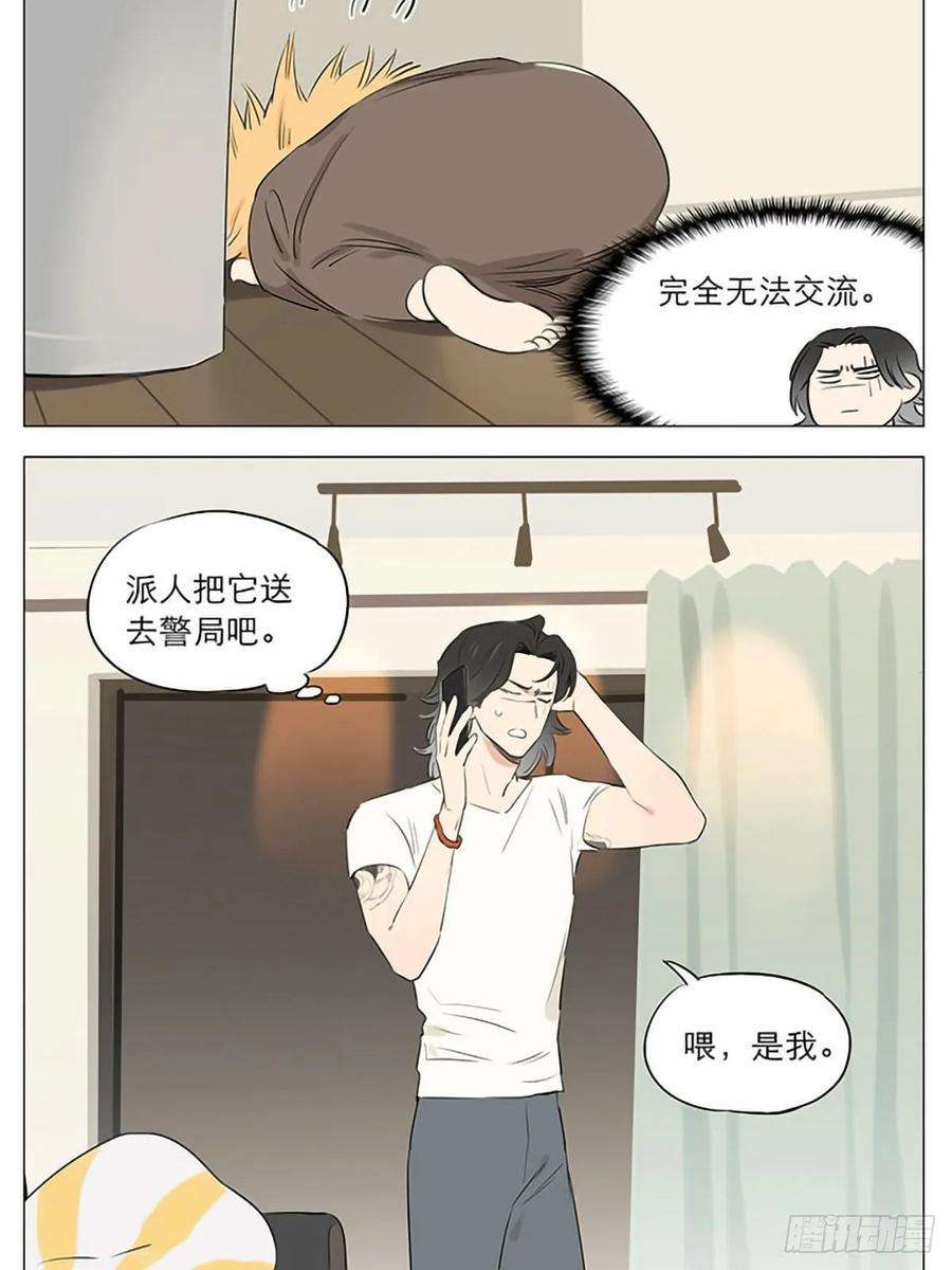 捡了东西的狼他醒了！