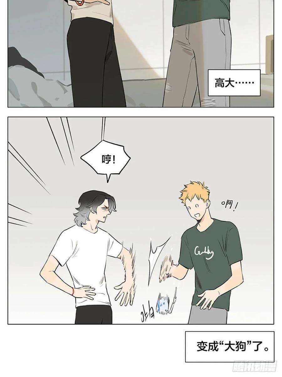 捡了东西的狼十年后。