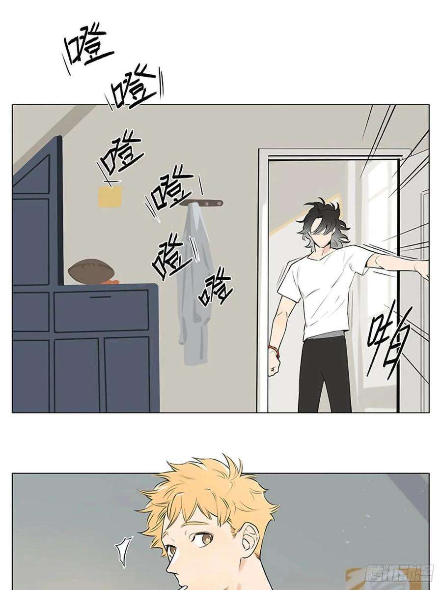 捡了东西的狼十年后。