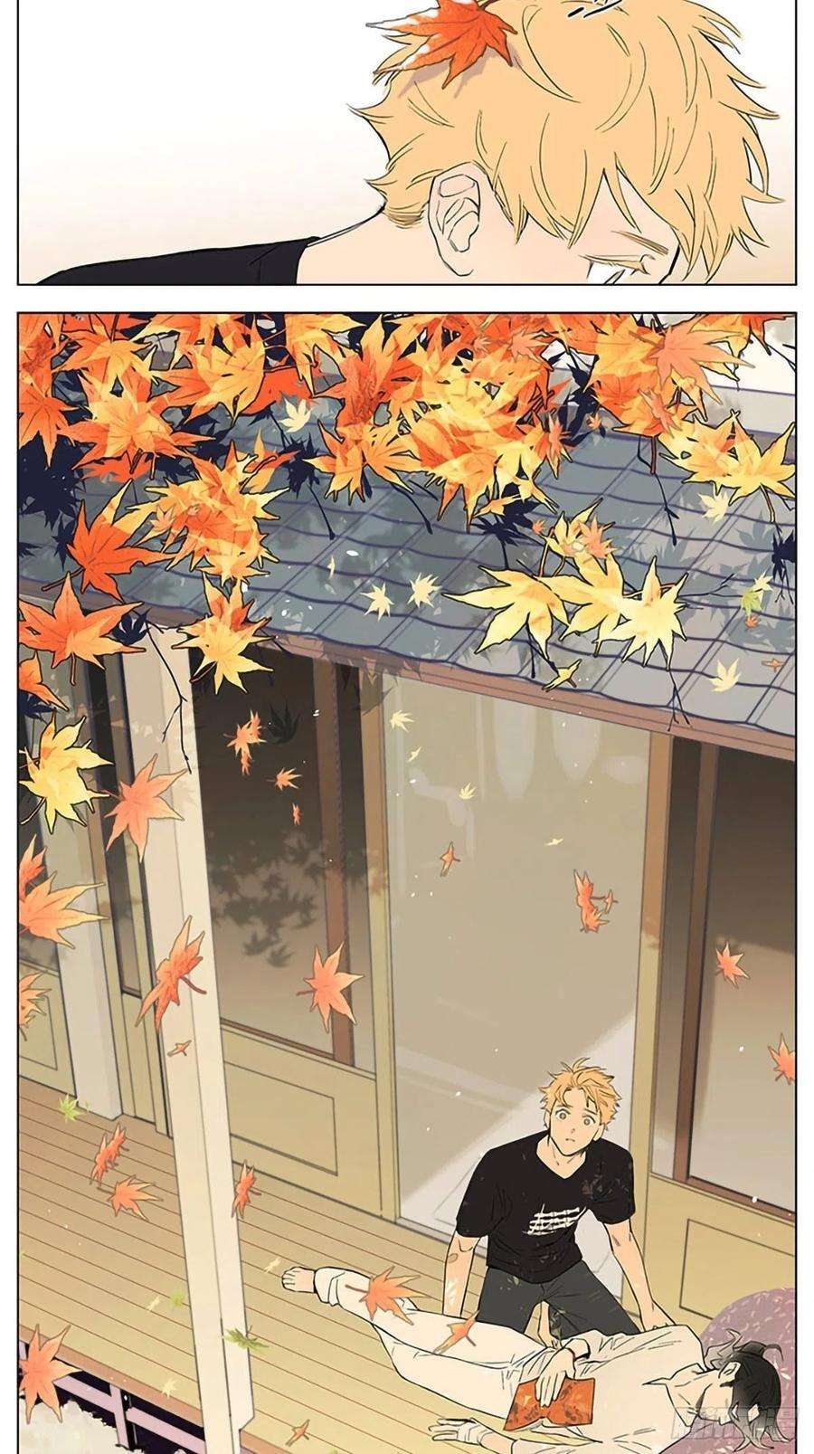 捡了东西的狼秋日午后。