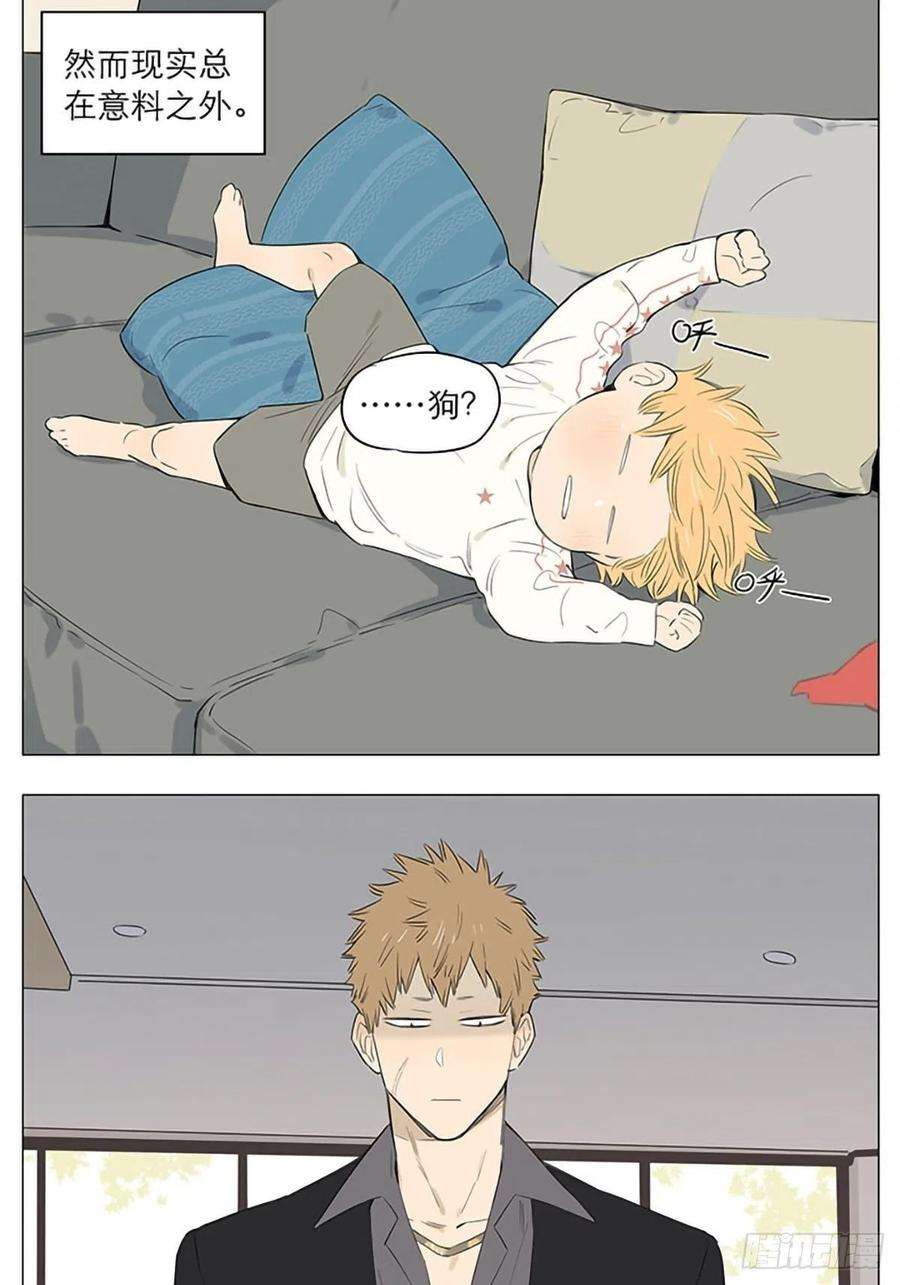 捡了东西的狼养狗。