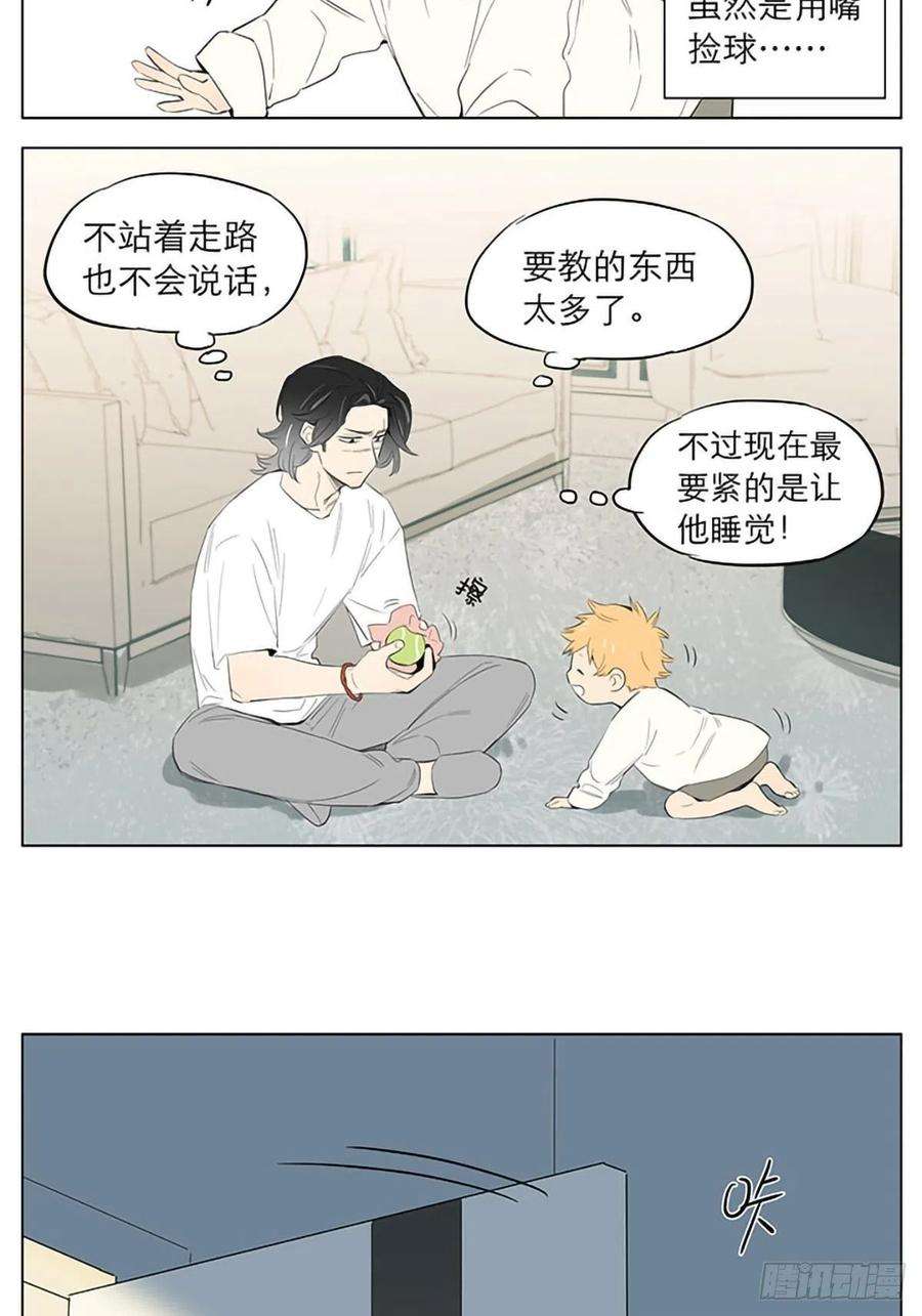 捡了东西的狼玩球。