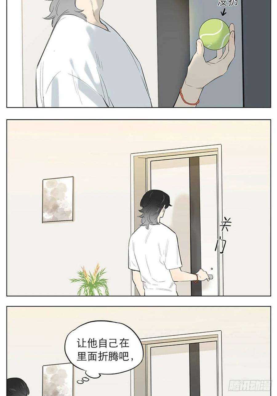 捡了东西的狼玩球。