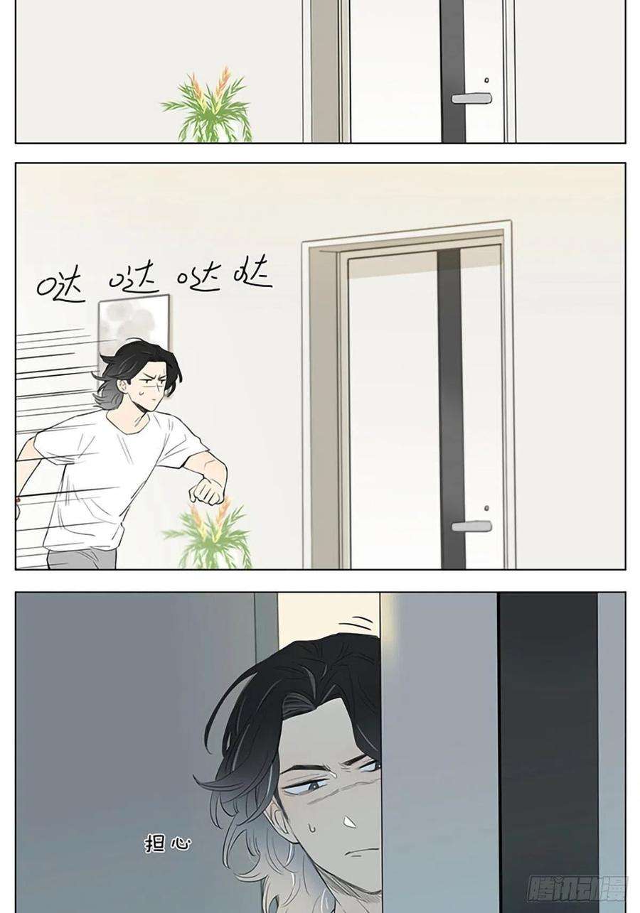 捡了东西的狼玩球。