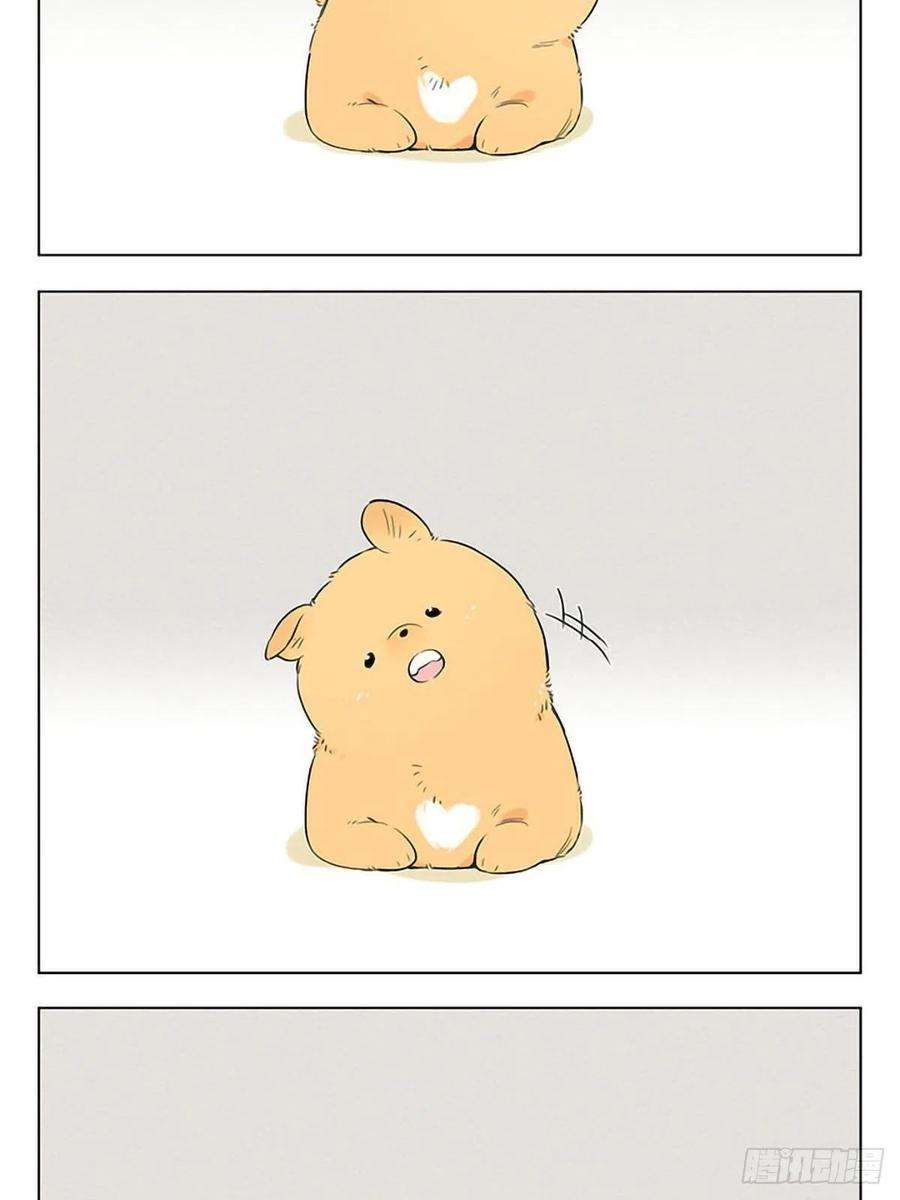 捡了东西的狼两只小土豆。