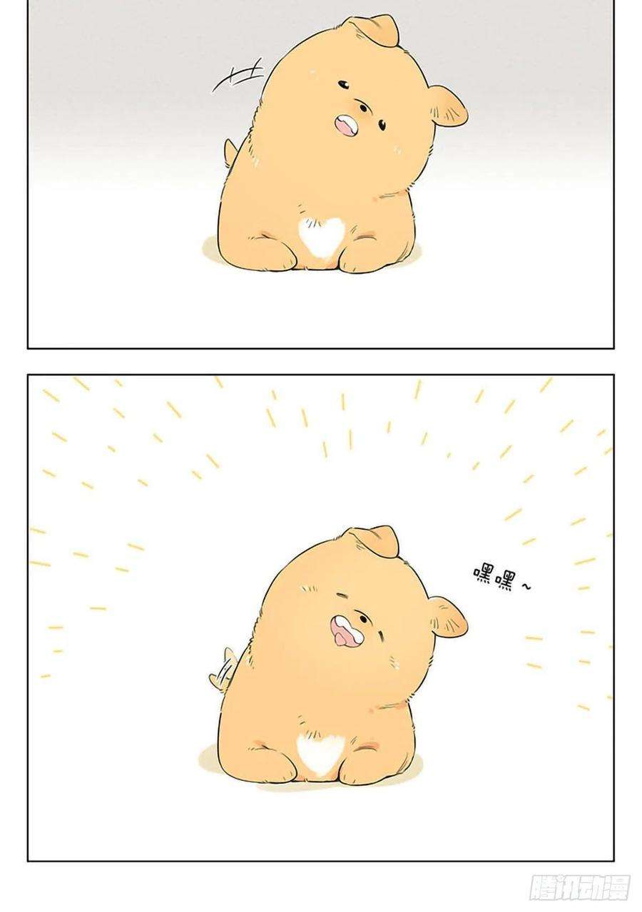 捡了东西的狼两只小土豆。