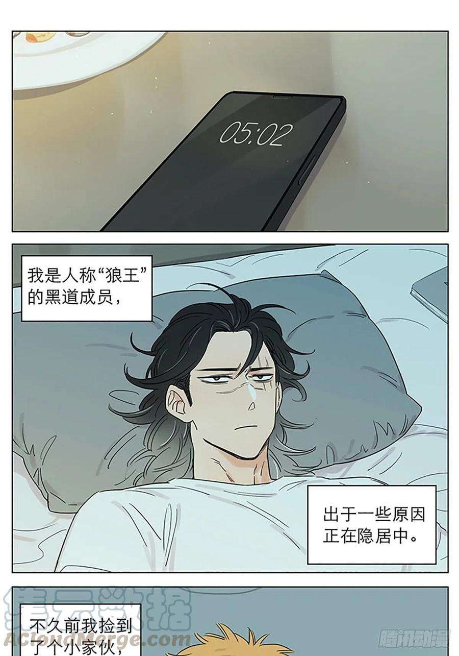 捡了东西的狼快乐的早晨。
