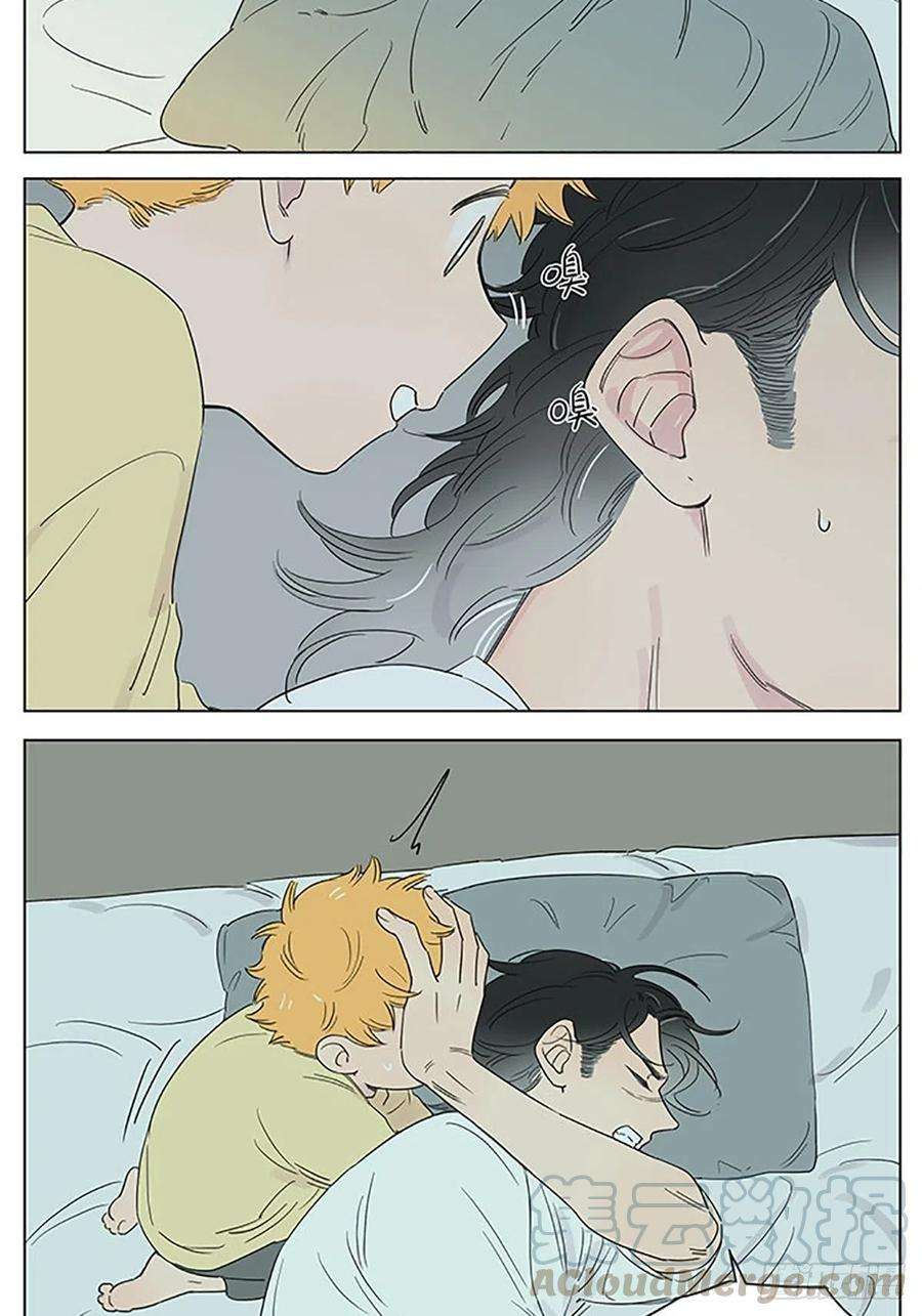 捡了东西的狼快乐的早晨。