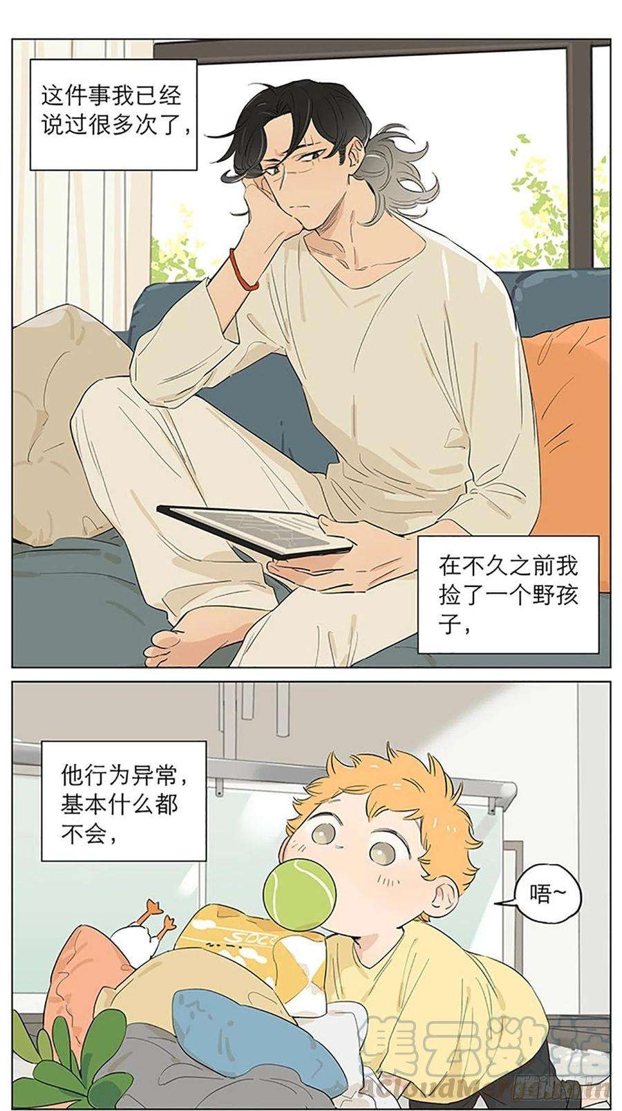 捡了东西的狼平常的一天。