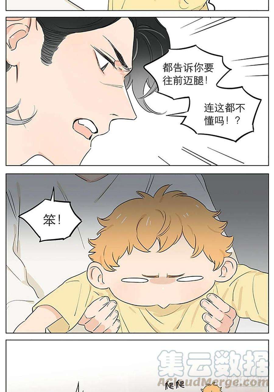 捡了东西的狼平常的一天。