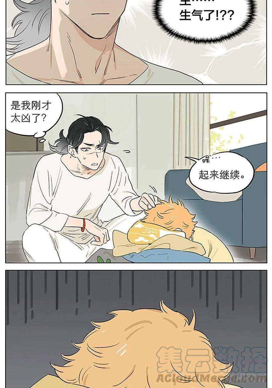 捡了东西的狼平常的一天。