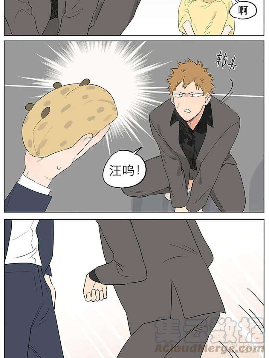 捡了东西的狼教走路。