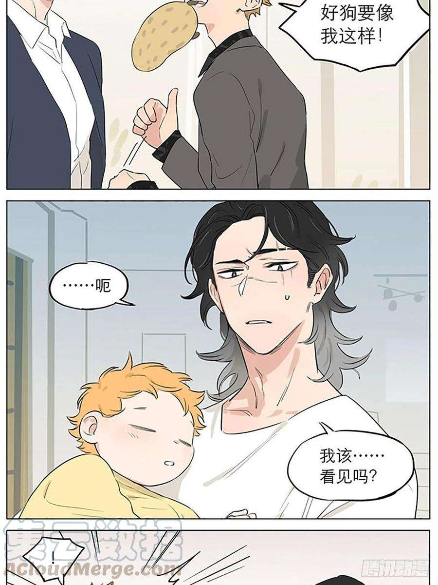 捡了东西的狼教走路。