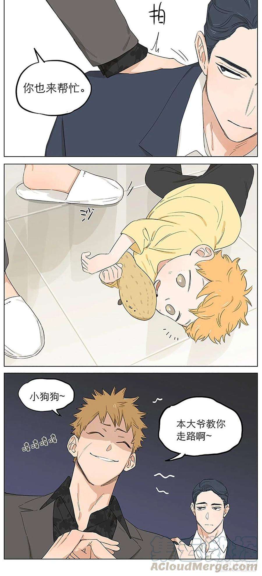 捡了东西的狼教走路。