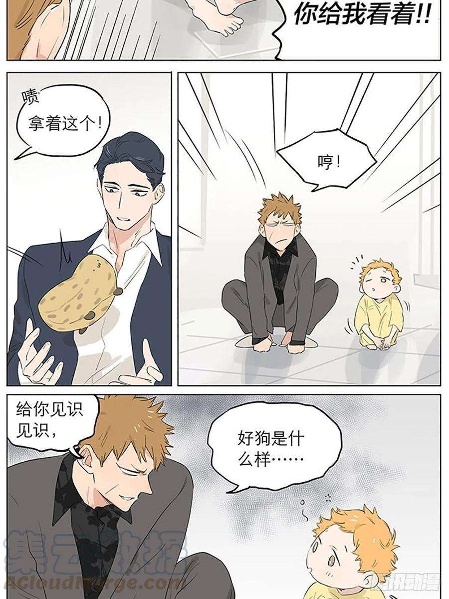 捡了东西的狼教走路。