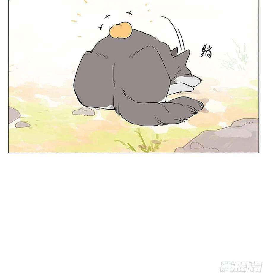 捡了东西的狼来玩游戏吧~