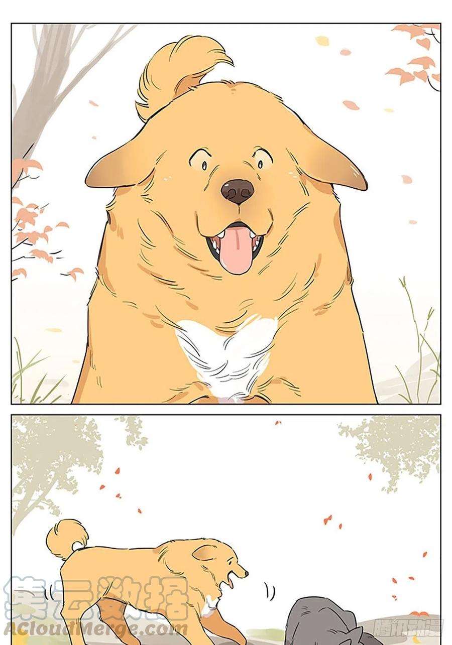 捡了东西的狼来玩游戏吧~